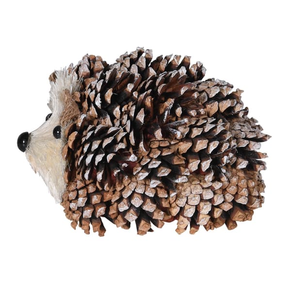 Reggie Pine Hedgehog