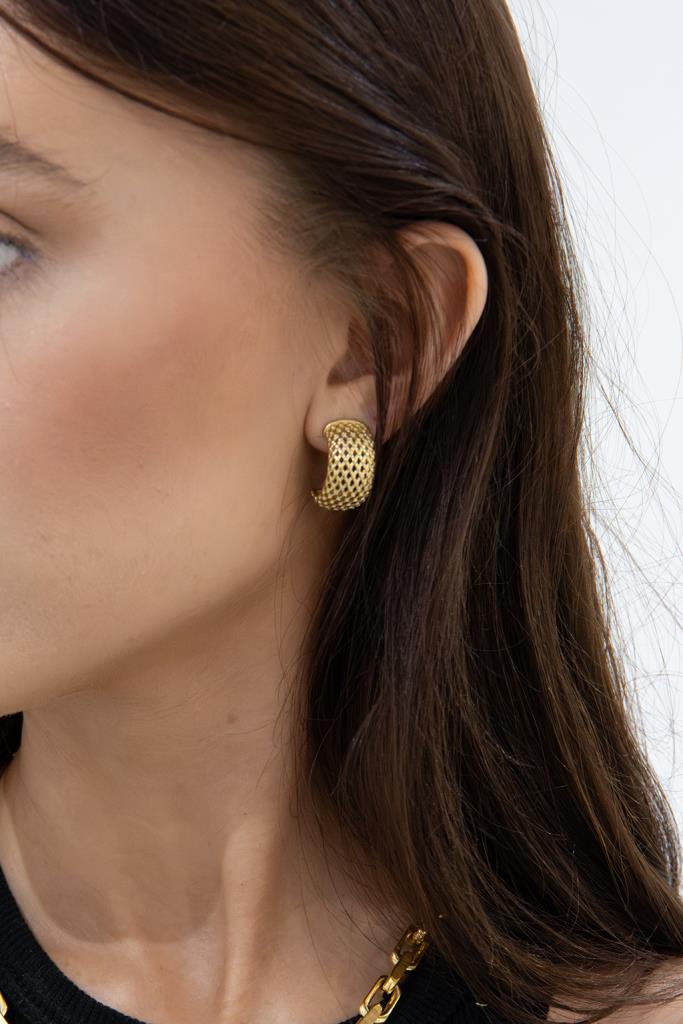 Textured Curve Earring in Gold